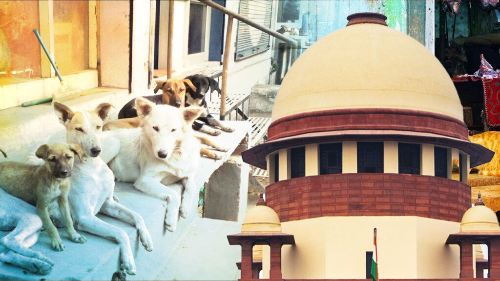 পথকুকুর নিয়ে শীর্ষ আদালতের রায় পুনর্বিবেচনার আর্জি জানিয়ে চিঠি দিলেন ৫০ হাজার পশুপ্রেমী