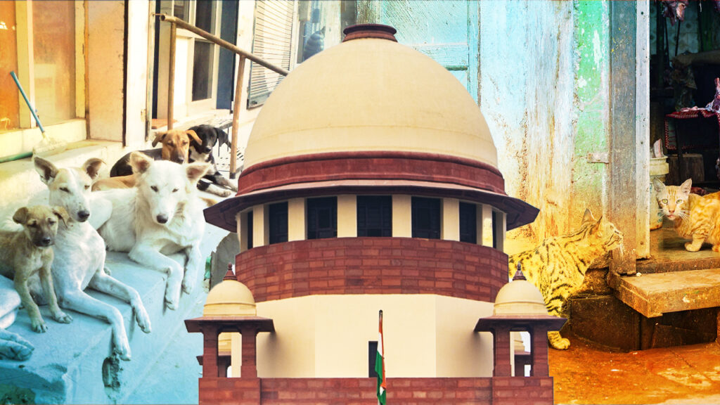 আট সপ্তাহের মধ্যে হাসপাতাল, বাস স্ট্যান্ড, স্টেশনগুলিকে পথকুকুরমুক্ত করার নির্দেশ শীর্ষ আদালতের