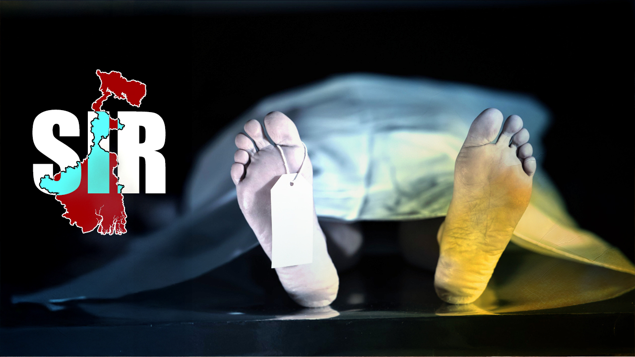 SIR আতঙ্কে জলপাইগুড়িতে মৃত্যু বৃদ্ধের, রাজ্যে মৃত বেড়ে ১৭