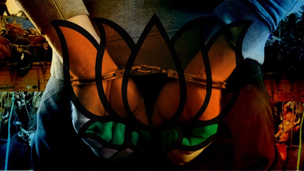 গরু পাচার মামলায় চাপে পদ্ম শিবির! বনগাঁ থেকে গ্রেপ্তার বিজেপি নেতা