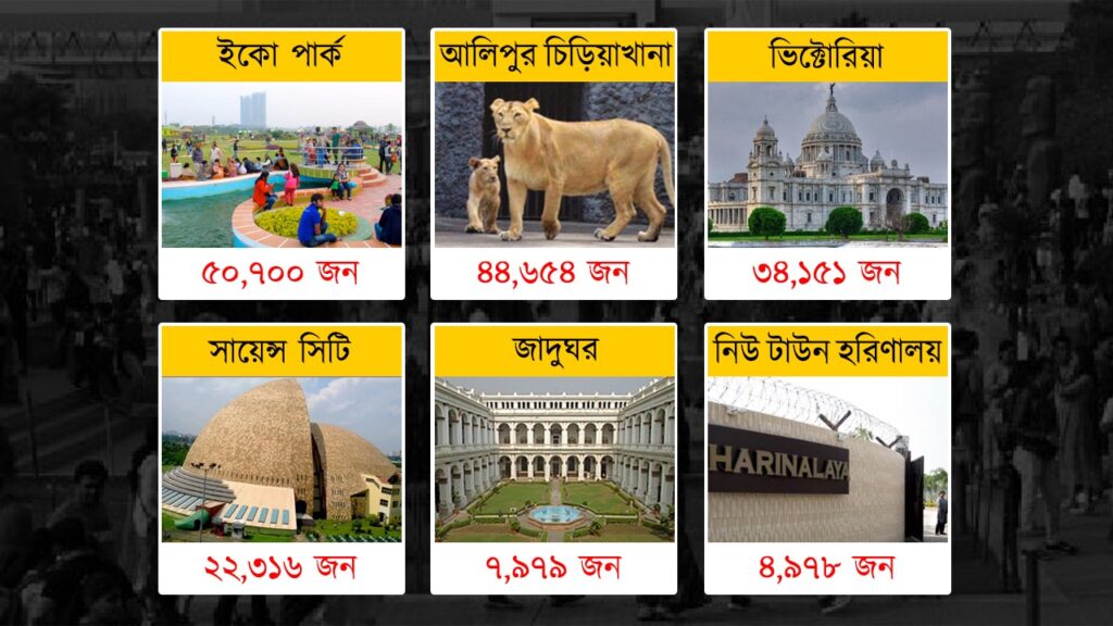 Christmas 2025: ইকো পার্ক নাকি চিড়িয়াখানা, বড়দিনের ভিড় টানতে প্রথম হল কে?