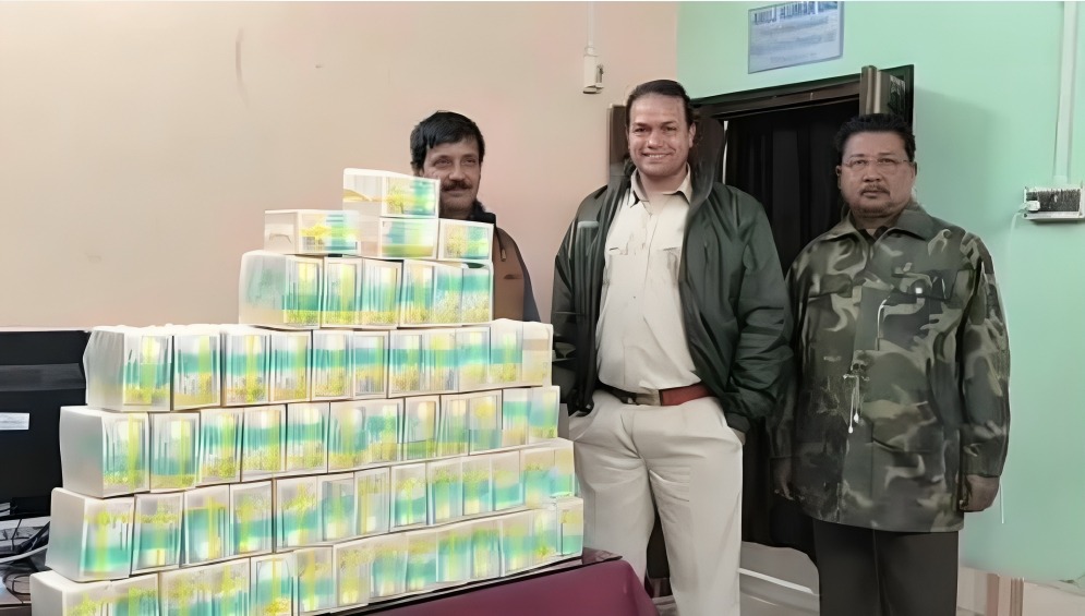 রায়গঞ্জে উদ্ধার ১ লক্ষ ২০ হাজার বাংলাদেশি নোট, পাচারচক্রের শিকড় খুঁজছে কাস্টমস