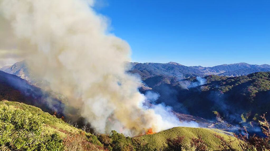 দাবানলের গ্রাস! তিনদিন ধরে জ্বলছে নাগাল্যান্ডের জুকো উপত্যকা
