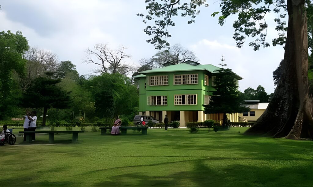 জলদাপাড়ায় ফিরছে পুড়ে ছাই হওয়া হলং বাংলো,পুনর্নির্মাণে ৩.৮ কোটি টাকা বরাদ্দ করল রাজ্য