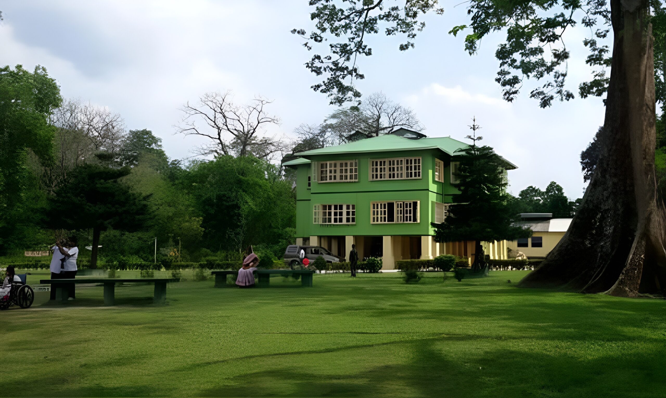 জলদাপাড়ায় ফিরছে পুড়ে ছাই হওয়া হলং বাংলো,পুনর্নির্মাণে ৩.৮ কোটি টাকা বরাদ্দ করল রাজ্য