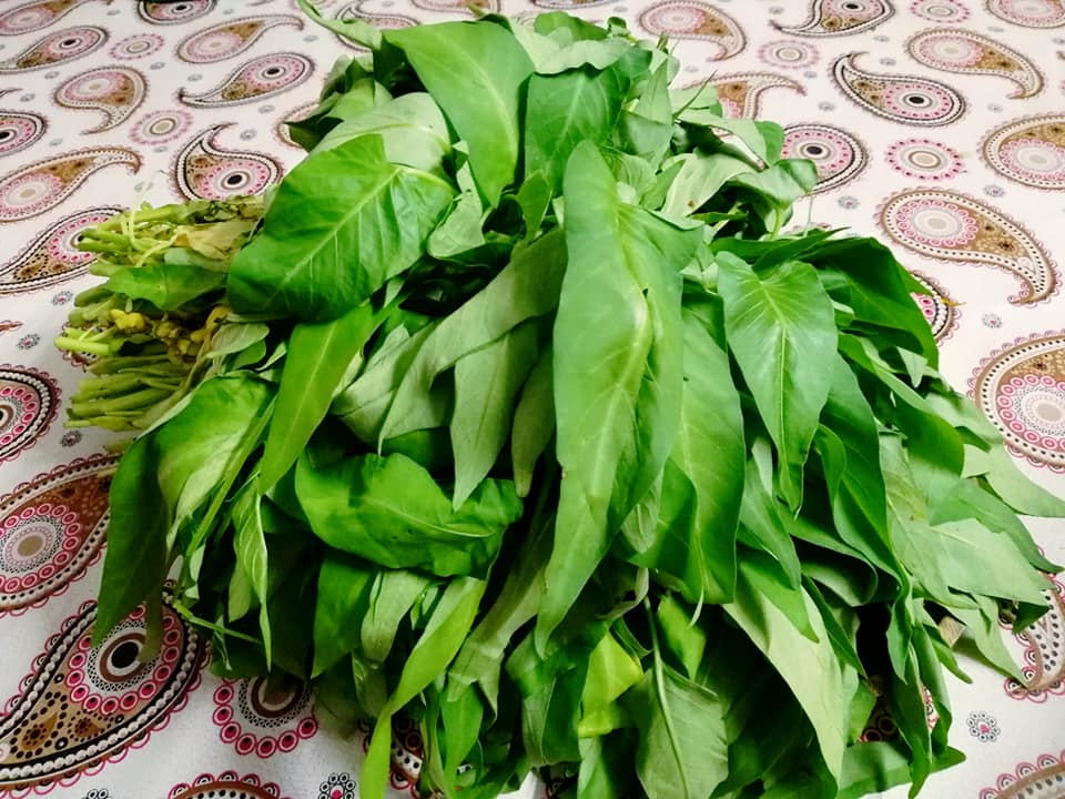 শীতের সুপারফুড কলমি শাক: স্বাস্থ্যরক্ষায় এক অনন্য সবুজ সম্পদ