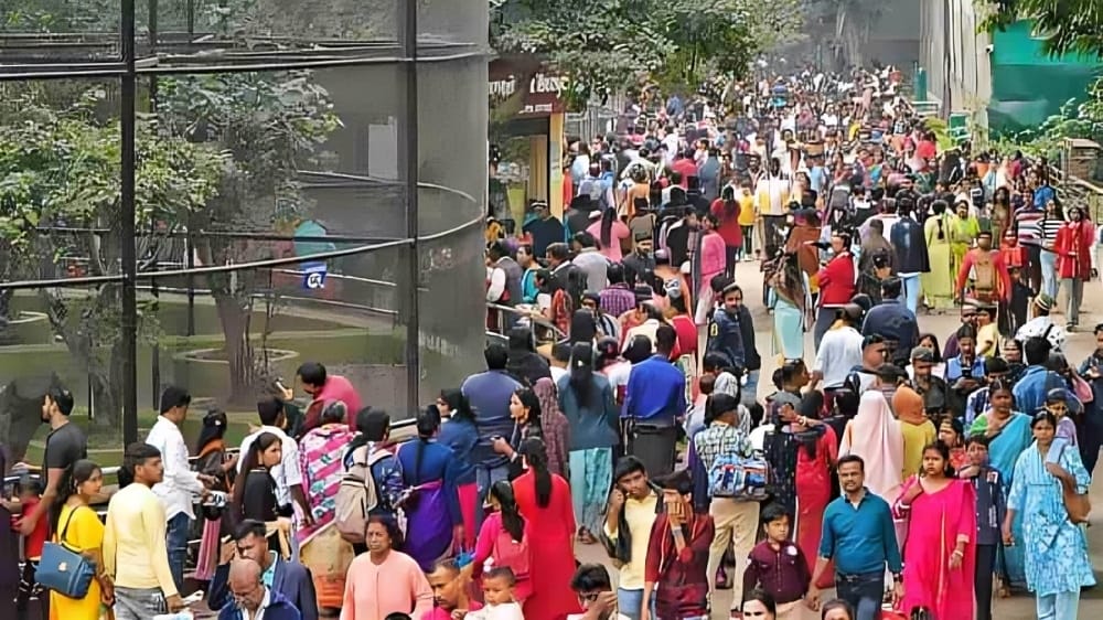 New Year’s Eve: বছরের শেষ দিনে কলকাতার কোথায়, কত ভিড় জমল?