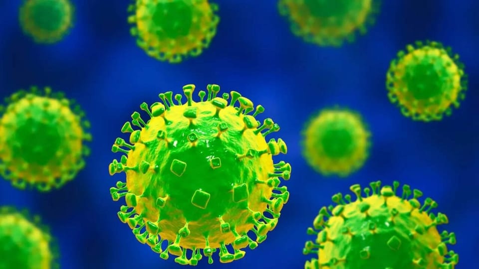 বাংলায় কি নিপা ভাইরাসের হানা? বারাসতে আক্রান্ত সন্দেহে হাসপাতালে চিকিৎসাধীন ২ স্বাস্থ্যকর্মী