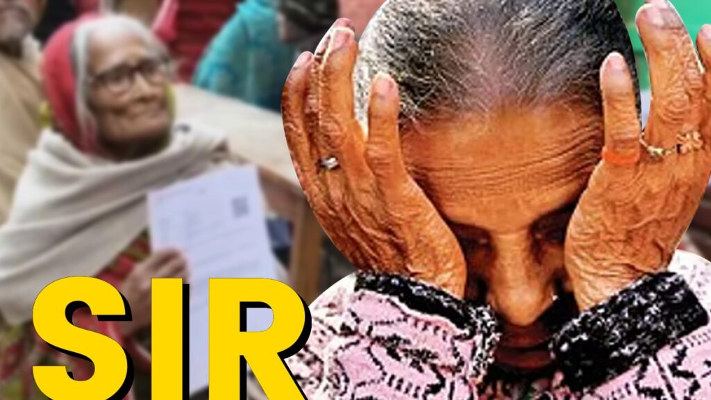 SIR-র শুনানি প্রক্রিয়ায়  চরম অব্যবস্থা! মুর্শিদাবাদে লাইনে দাঁড়িয়ে বৃদ্ধার স্ট্রোক, মালদহে অসুস্থ খোদ BLO