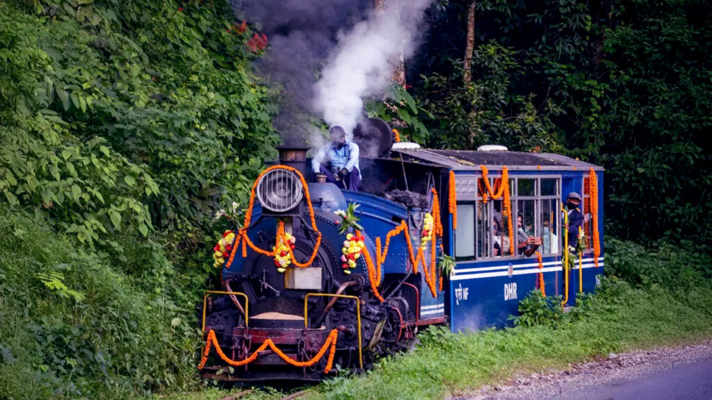 টয় ট্রেনে বসে জঙ্গল সাফারি, ফের শুরু পরিষেবা