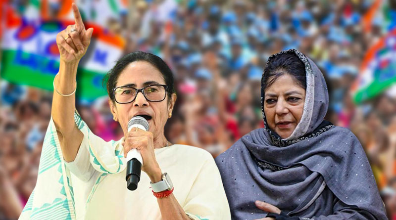 মমতার প্রশংসা করে মেহবুবা মুফতি বললেন বাংলার মুখ্যমন্ত্রী ‘বাঘিনী’