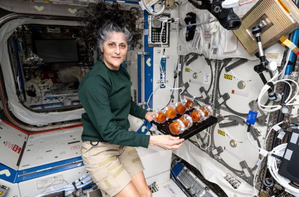 ২৭ বছরের অধ্যায়ের শেষ, নাসা থেকে অবসর নিলেন সুনীতা উইলিয়ামস